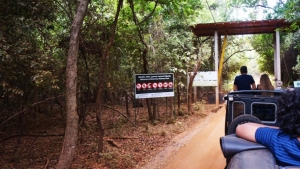 Minneriya National Park